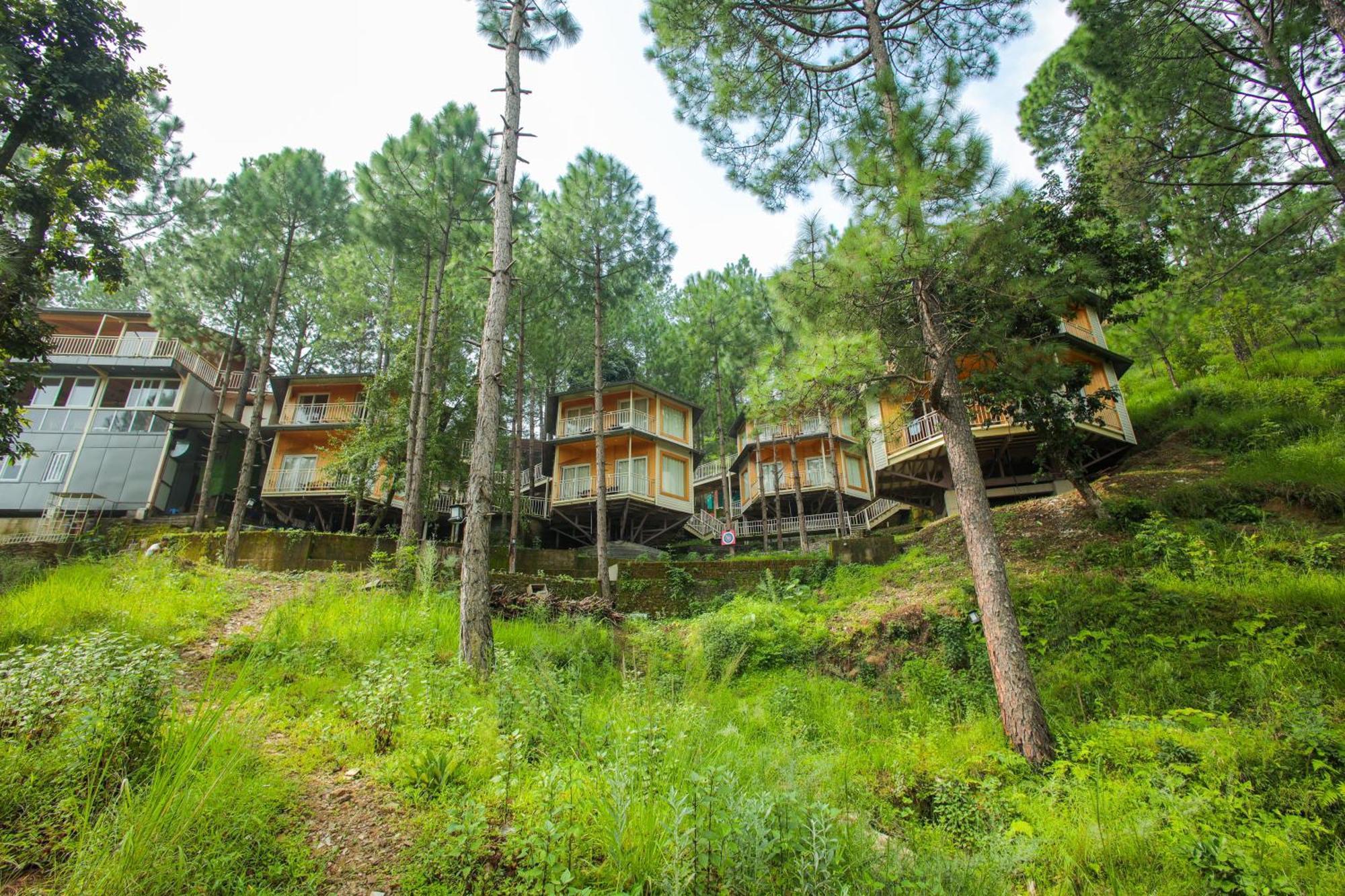 The Woods Retreat Hotel Lansdowne Exterior foto